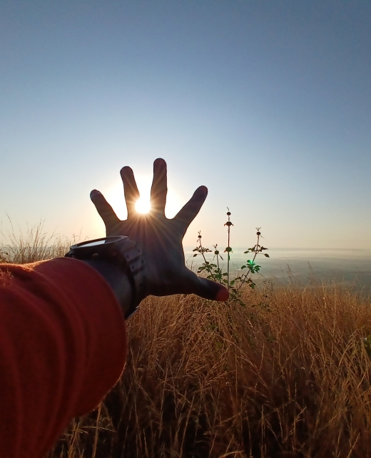 Hand image